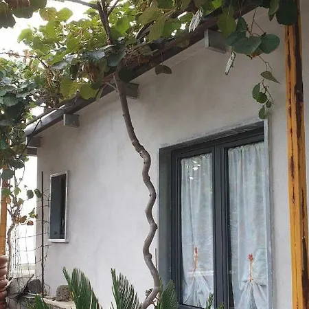 Affittacamere Green Leaf Bed & Breakfast *